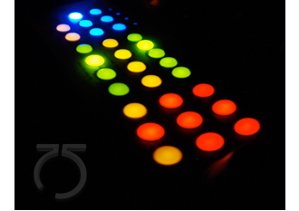 Enlarged view of image